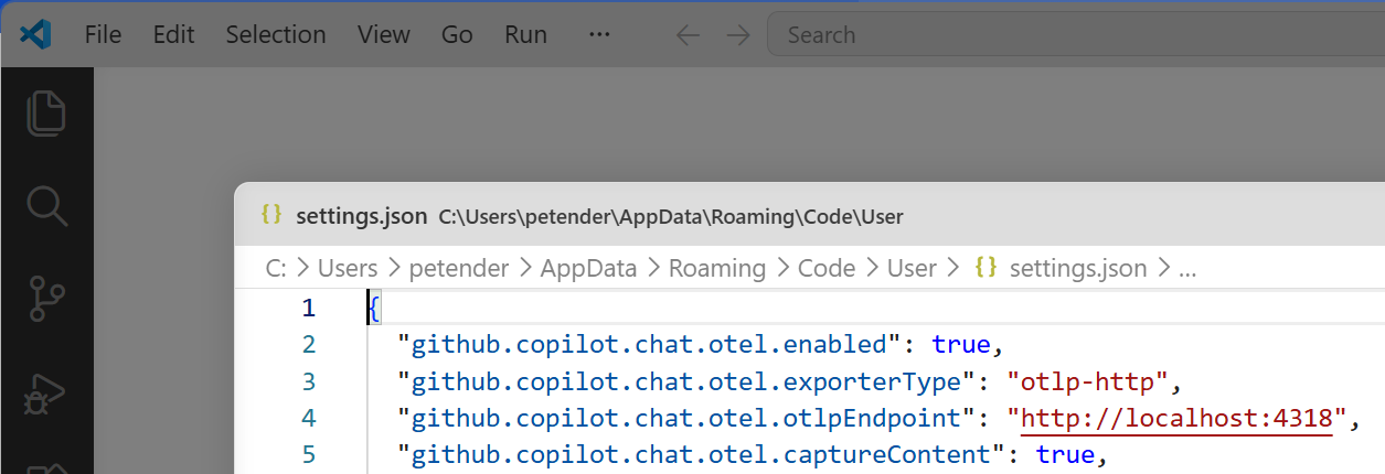 VS Code User Settings JSON